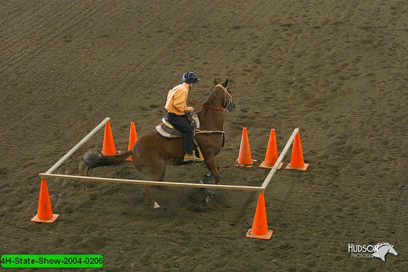 4H-State-Show-2004-0206.jpg