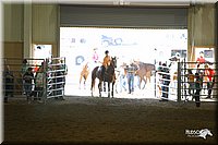 4H-State-Show-2004-0201.jpg