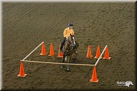 4H-State-Show-2004-0204.jpg