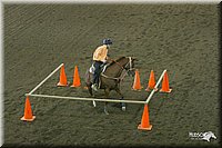 4H-State-Show-2004-0205.jpg