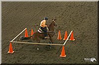 4H-State-Show-2004-0206.jpg