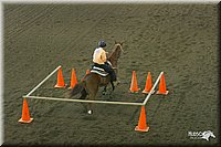 4H-State-Show-2004-0207.jpg