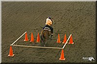 4H-State-Show-2004-0208.jpg