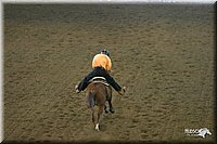 4H-State-Show-2004-0211.jpg