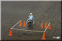 4H-State-Show-2004-0221.jpg