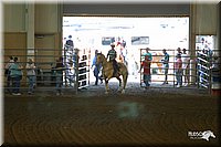 4H-State-Show-2004-0085.jpg