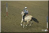 4H-State-Show-2004-0093.jpg