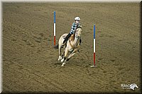 4H-State-Show-2004-0095.jpg