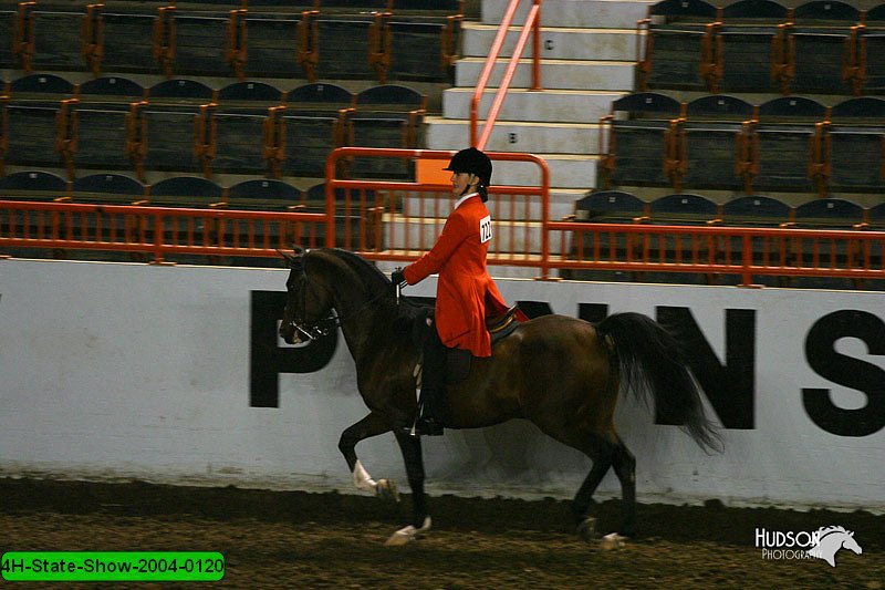 4H-State-Show-2004-0120.jpg