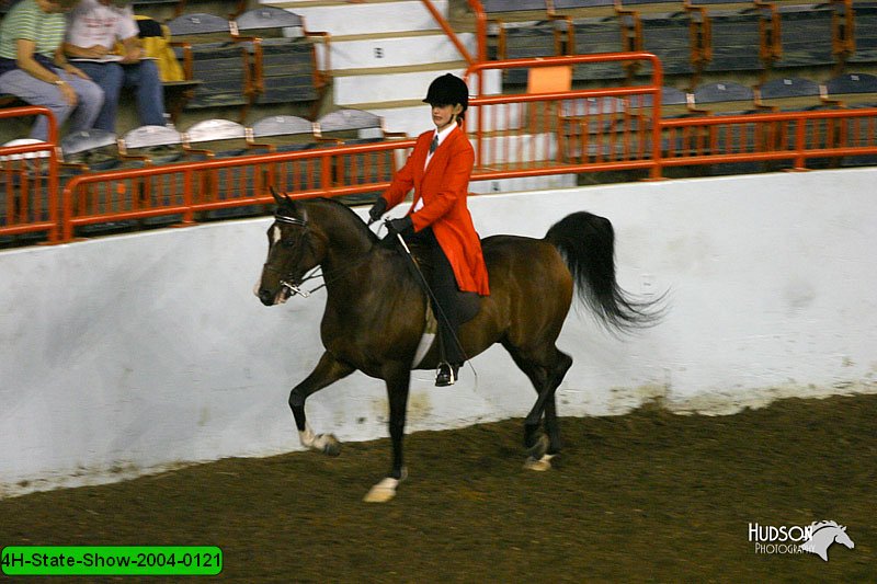 4H-State-Show-2004-0121.jpg