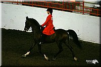 4H-State-Show-2004-0109.jpg