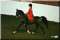 4H-State-Show-2004-0110.jpg