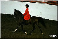 4H-State-Show-2004-0111.jpg