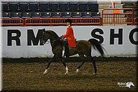 4H-State-Show-2004-0113.jpg