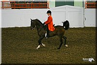 4H-State-Show-2004-0114.jpg