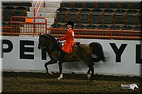 4H-State-Show-2004-0119.jpg