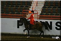 4H-State-Show-2004-0120.jpg