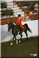 4H-State-Show-2004-0122.jpg