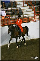 4H-State-Show-2004-0123.jpg