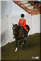 4H-State-Show-2004-0124.jpg