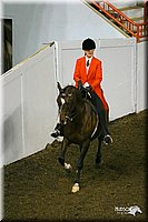 4H-State-Show-2004-0125.jpg