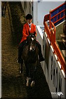 4H-State-Show-2004-0132.jpg