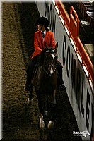 4H-State-Show-2004-0133.jpg