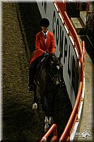 4H-State-Show-2004-0135.jpg