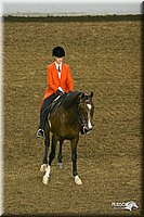 4H-State-Show-2004-0140.jpg