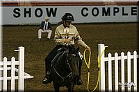 4H-State-Show-2004-0337.jpg