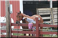 4H-1st-Show-2005-0358.jpg