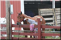 4H-1st-Show-2005-0358.jpg