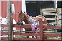 4H-1st-Show-2005-0359.jpg