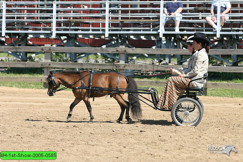 4H-1st-Show-2005-0585.jpg