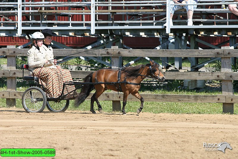 4H-1st-Show-2005-0588.jpg