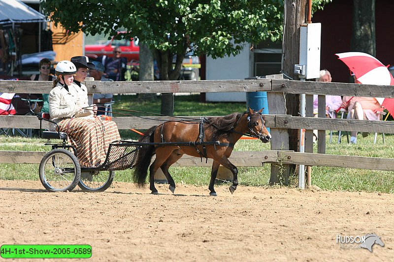 4H-1st-Show-2005-0589.jpg