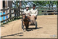 4H-1st-Show-2005-0582.jpg