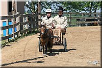 4H-1st-Show-2005-0583.jpg