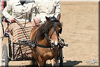 4H-1st-Show-2005-0584.jpg