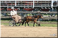 4H-1st-Show-2005-0587.jpg