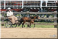 4H-1st-Show-2005-0588.jpg