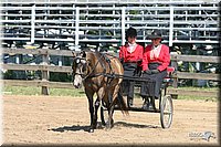 4H-1st-Show-2005-0596.jpg