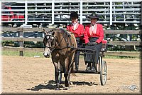 4H-1st-Show-2005-0598.jpg