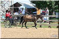 4H-1st-Show-2005-0601.jpg