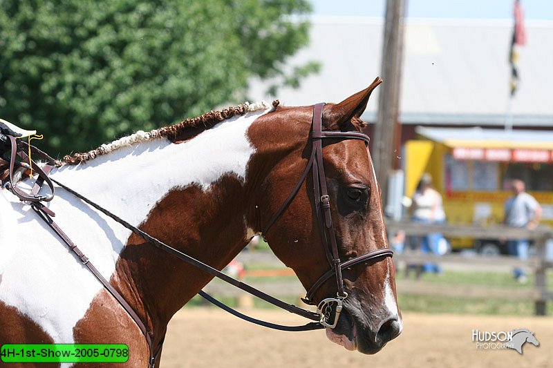4H-1st-Show-2005-0798.jpg