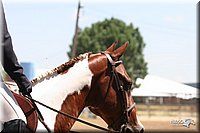 4H-1st-Show-2005-0770.jpg