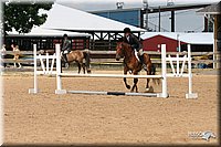 4H-1st-Show-2005-1166.jpg