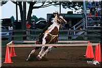 4H-1st-Show-2005-0308.jpg