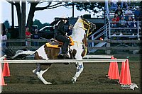 4H-1st-Show-2005-0310.jpg