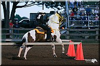 4H-1st-Show-2005-0311.jpg